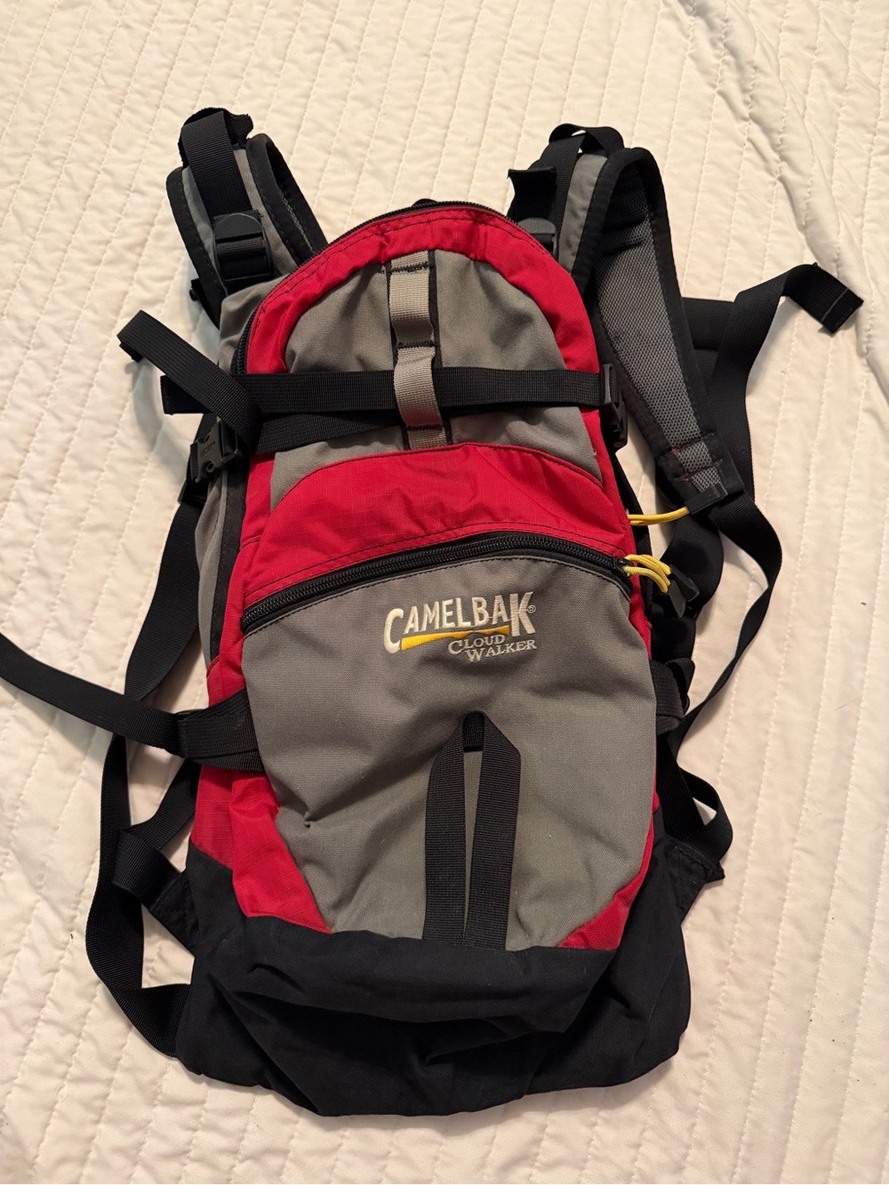 CamelBak hydration backpack